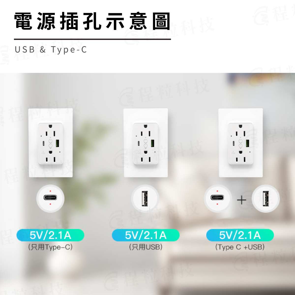 塗鴉智慧牆壁插座電源插孔示意圖,支援Type-C與USB多種輸出